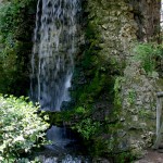 Waterfall Inside of Jardin des Plants Waterfall Inside of Jardin des Plants